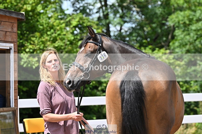 240718A-105311-01673 - Trot Up 1pm to 2pm