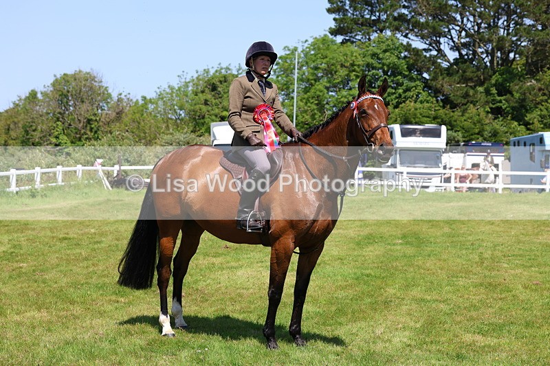 3E7A7549 - Class 31: Working Hunter Cob/Riding Horse
