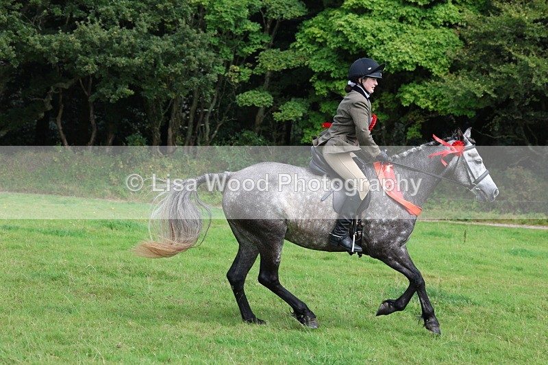 3E7A6211 - Working Hunter Championship