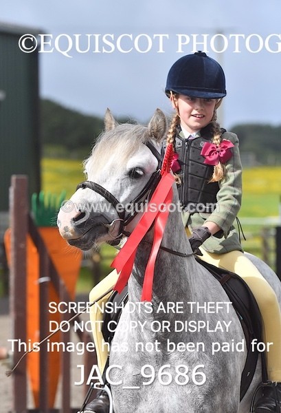 JAC_9686 - CLASS 1 Nursery Novice Working Hunter (0.50m)