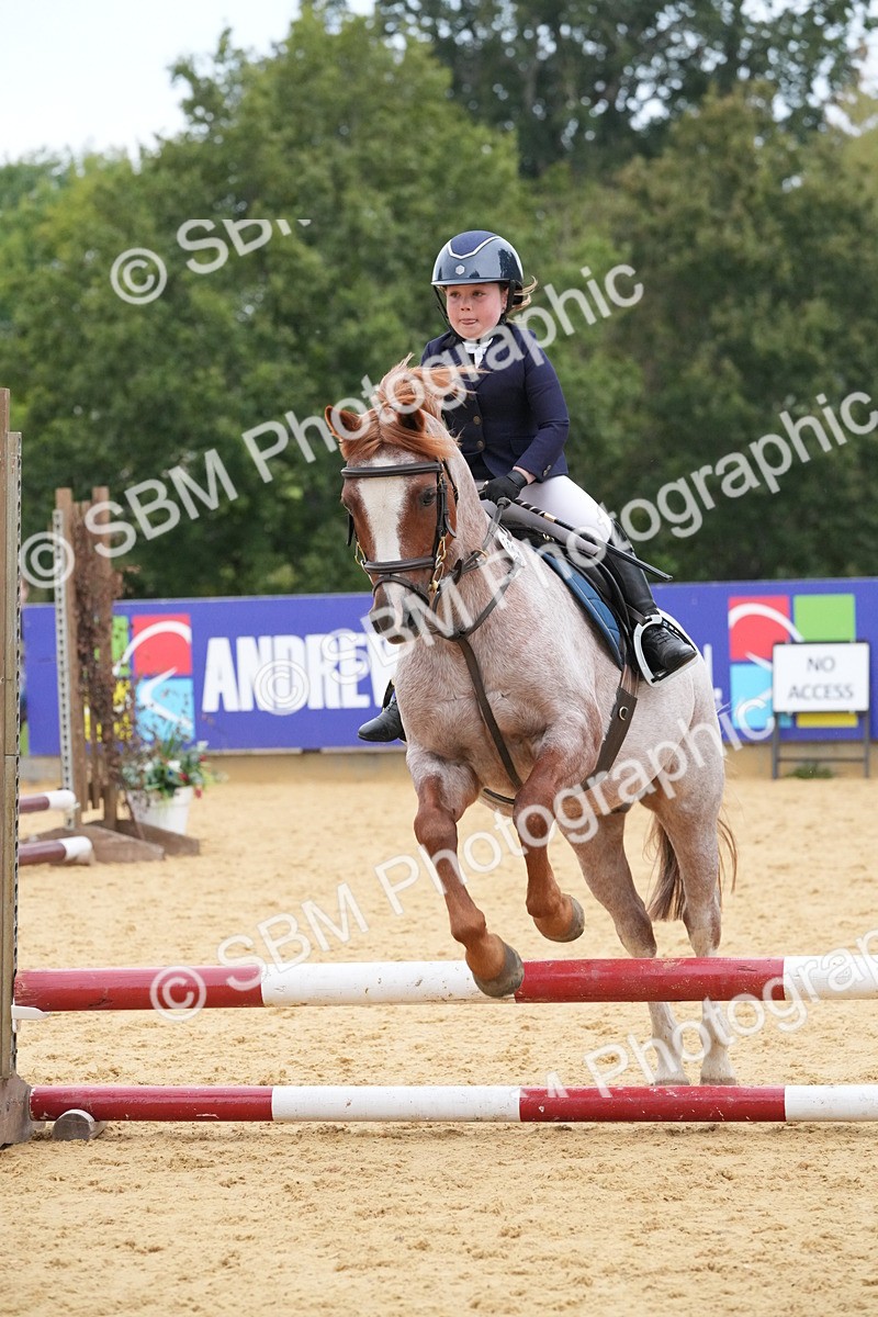 SBM_74522 - J4 - Mini Tour Junior Pony 45cm Championship
