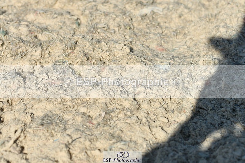 230623-173955-01590 - Cls 8 Medium 73Q