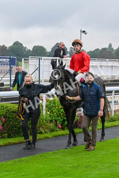 080924-Race 3-Brighton Boy-9103 - Race 3 2.50pm Irish Thoroughbred Marketing Nursery Handicap