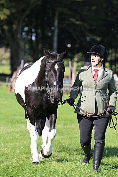 SIAL5595 - Ring 1 & 3