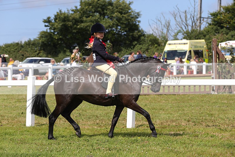 1X9A3789 - Class 30: First Ridden SP/SHP