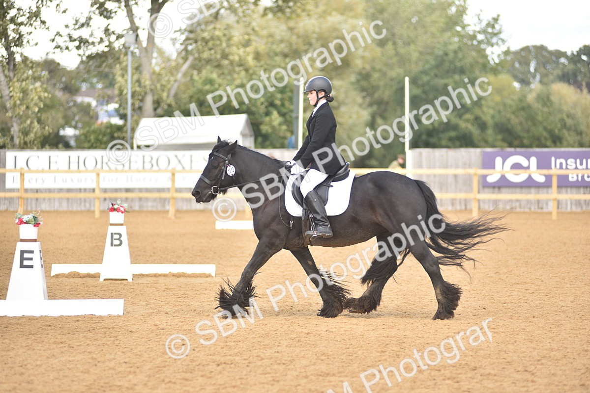SBM_48802 - D22 - Junior Championship Intro 3