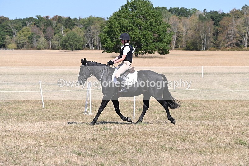 WJ6_8823 - Class 38 Ridden Riding Horse/Pony