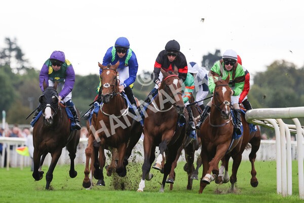 yr24092021r6-18 - Race 6 4.25pm William Hill Pick Your Places Stakes
