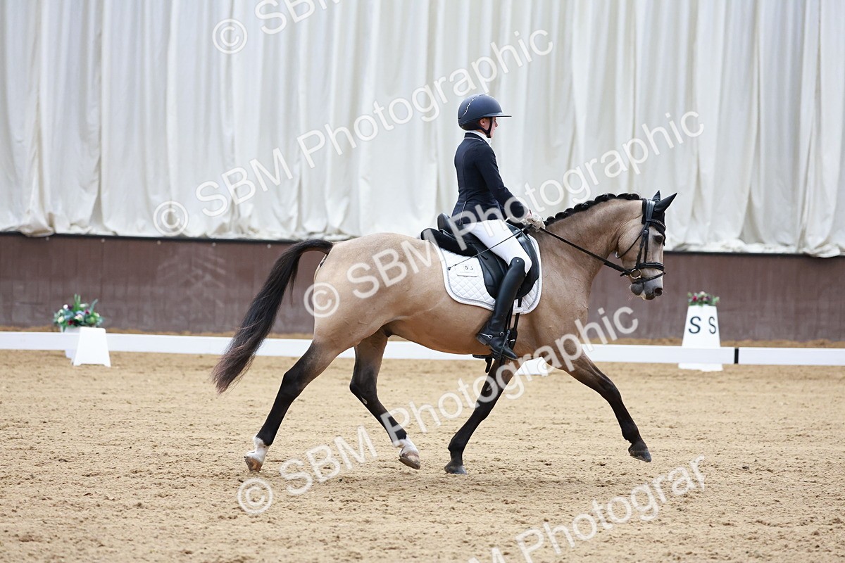 SBM_017212 - Class15 - FEI Pony