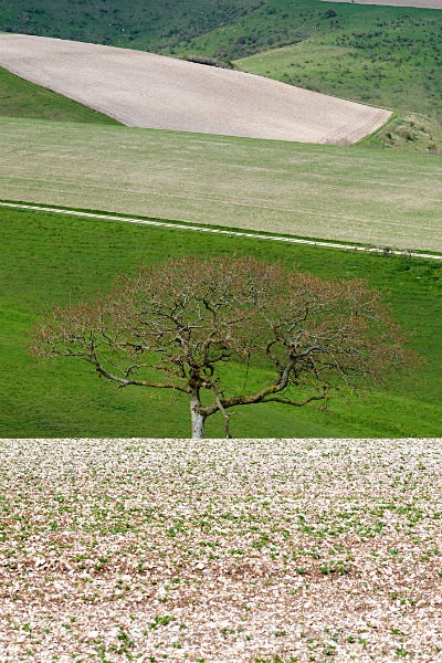 Cranborne Chase - Bath and the South West