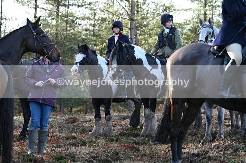 WJ7_7497 - Line 3 (no line 4 or 5)