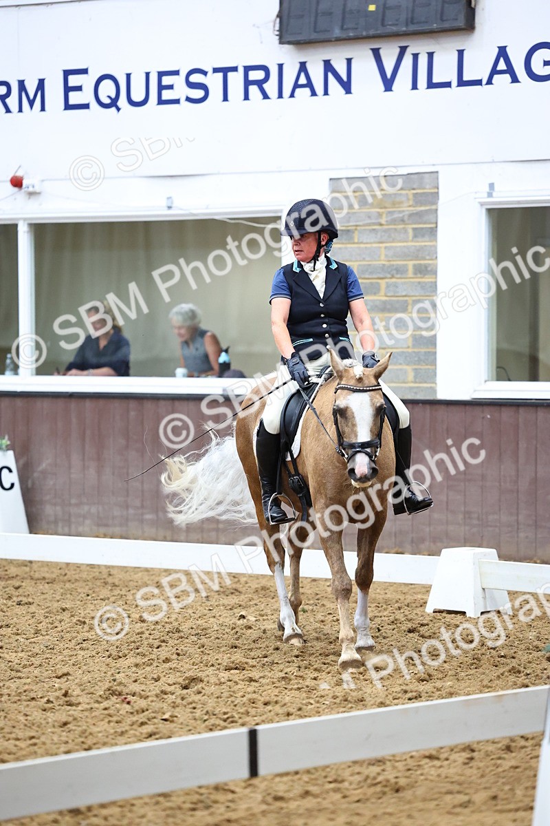 SBM_005600 - Elementary 2