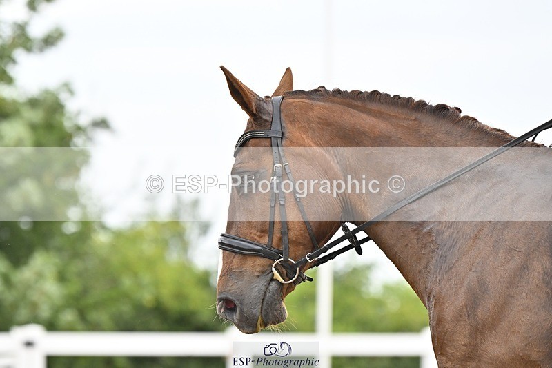 250621-120306-07832 - Cls 27 - Novice 6, Start to 12.20