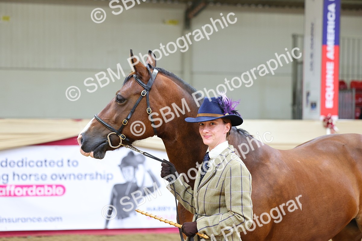 SBM_22868 - Class 903 - Supreme Final - IH Pre Vet