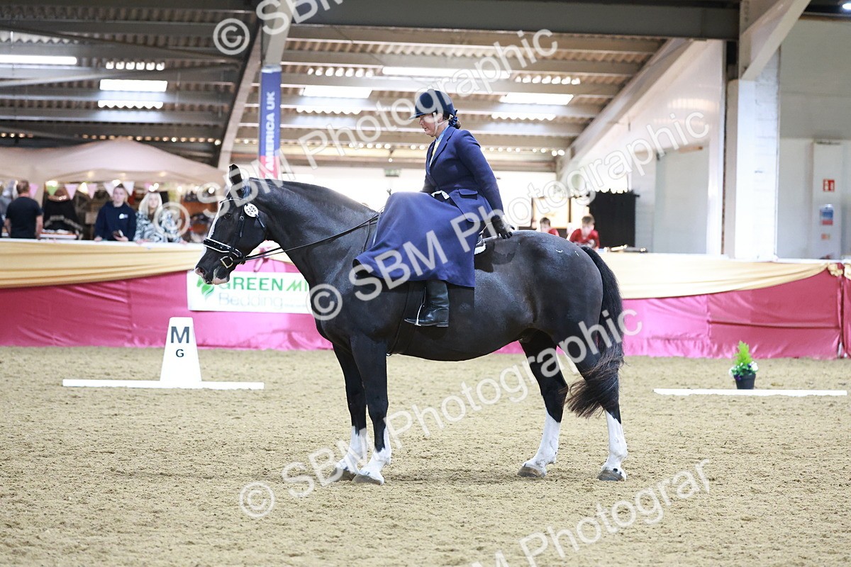 SBM_09939 - Class 61 - Dressage to Music