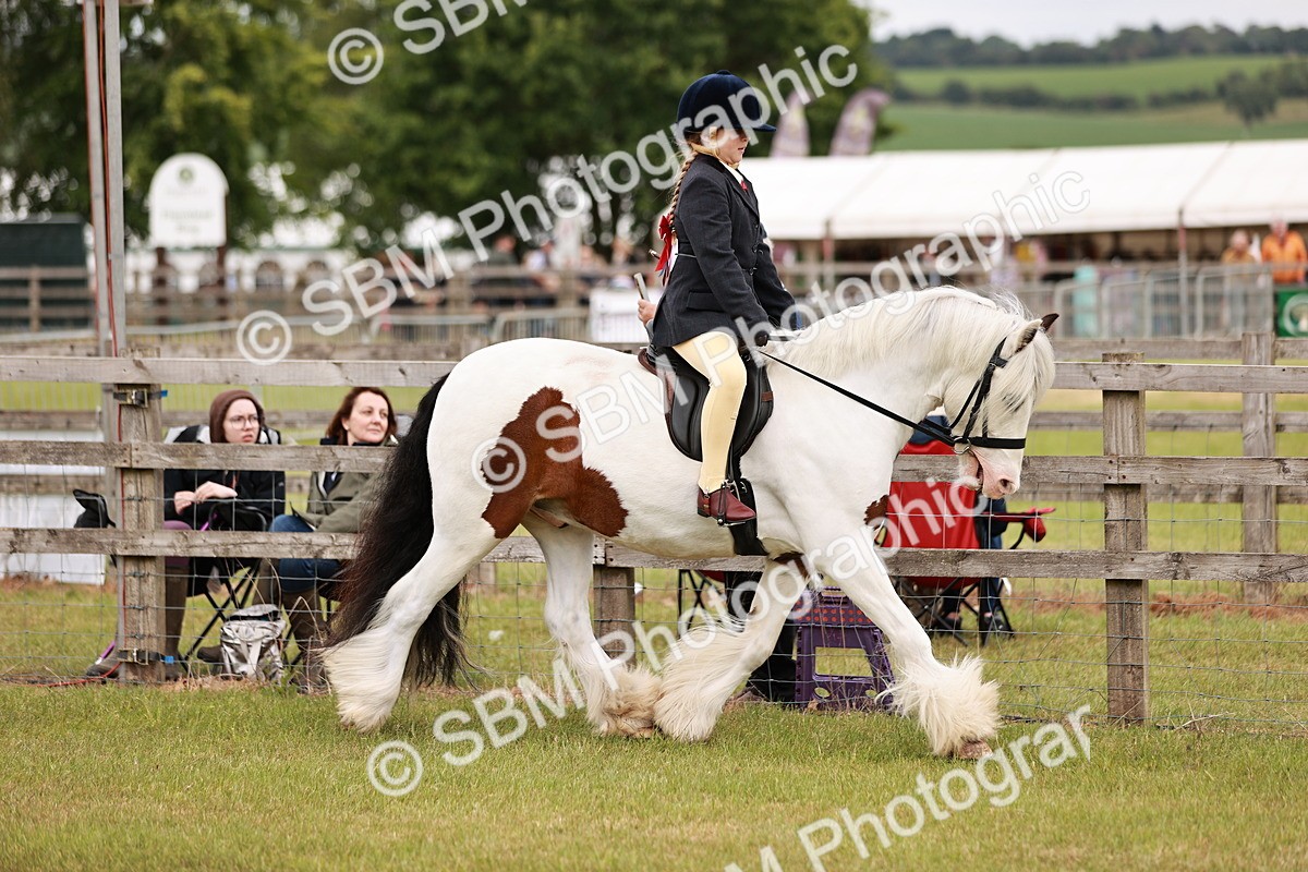 SBM_06096 - Class 39-41 TGCA In Hand and Ridden