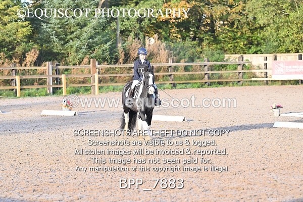 BPP_7883 - LONG ARENA