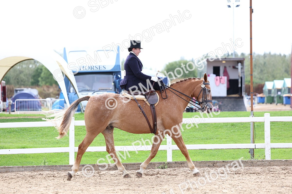 SBM_03390 - Class 24 - SSA Concours d'elegance (any age)