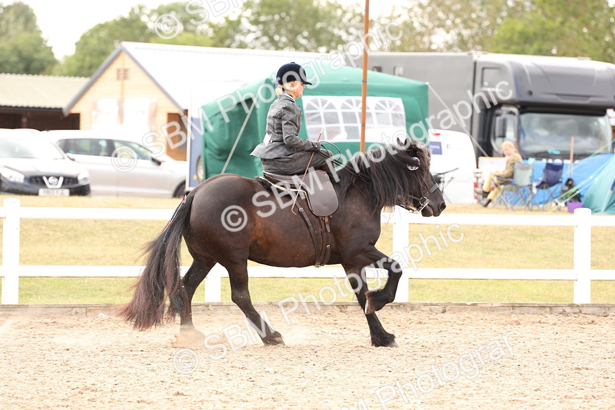 SBM_16398 - Class 211 - Best Side Saddle Horse - Pony