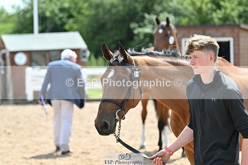 240717A-150241-02480 - Trot Up 3pm to 4pm