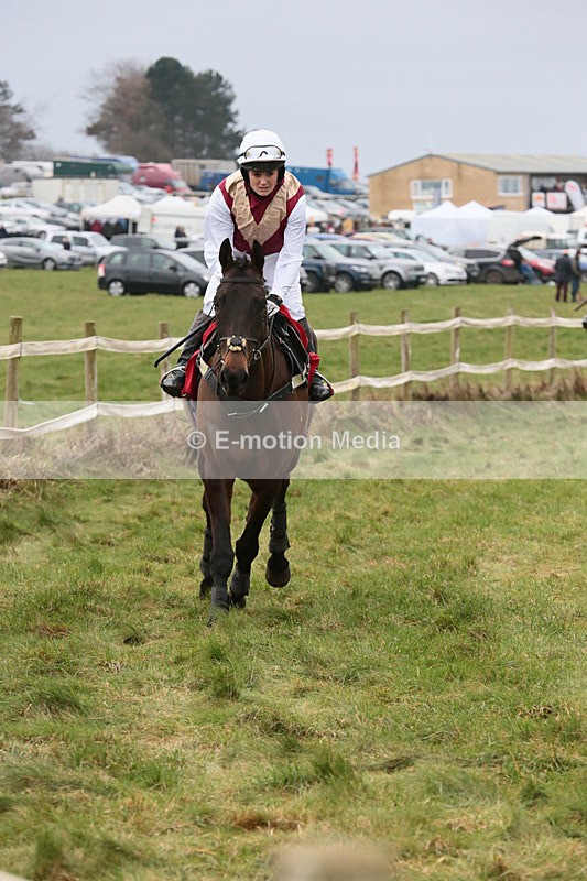 PtP 060119 85 - Larkhill Racing Club - Point-to-Point- 06/01/2019