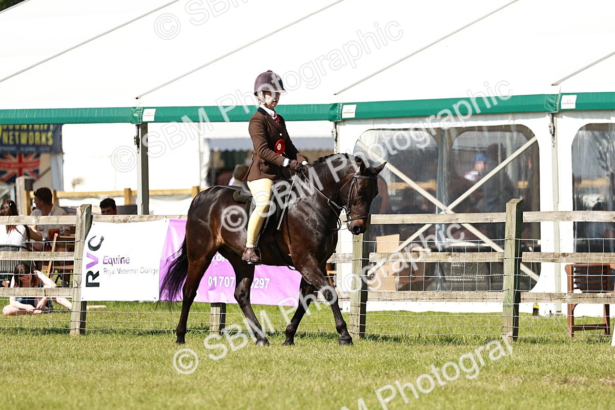 SBM_18511 - Class 112-113 - BSPS LIHS Working Sports Pony