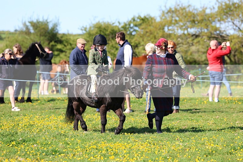 3E7A8769 - Class 2: Lead rein