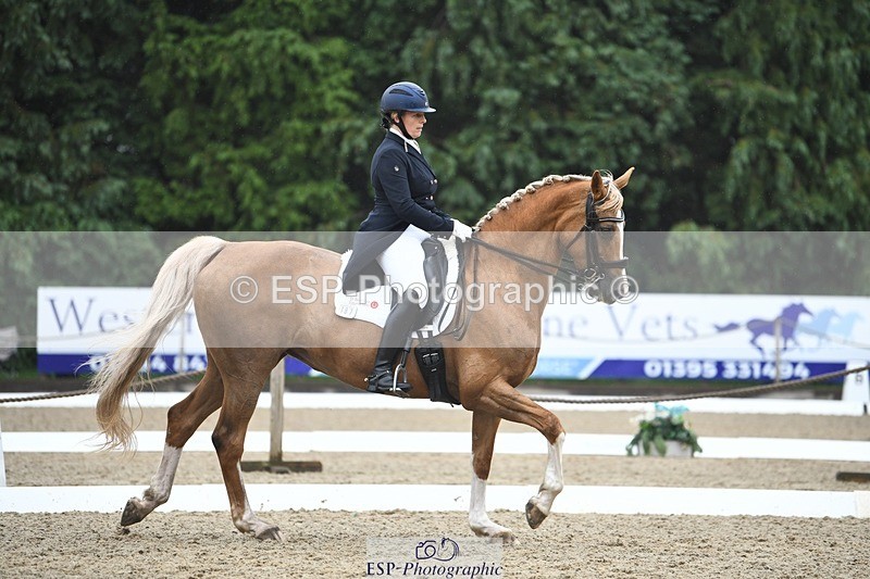 240720-145113-05843 - 187-Clare_Smith-Dori_Dragon_Fly