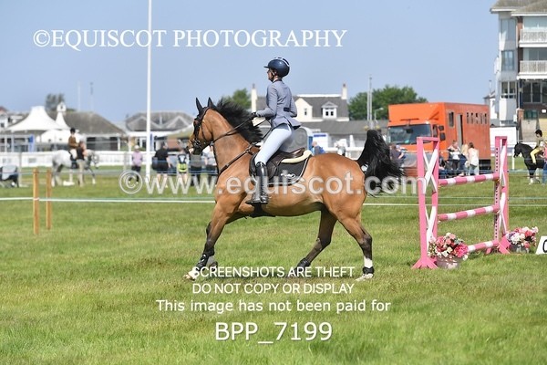 BPP_7199 - CLASS 3 Andrew Hamilton Coach, RHS Foxhunter Championship Qualifier
