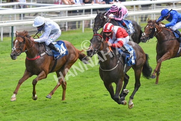 yr10072021r1-17 - Race 1: 1.45pm John Smith's Racing Stakes