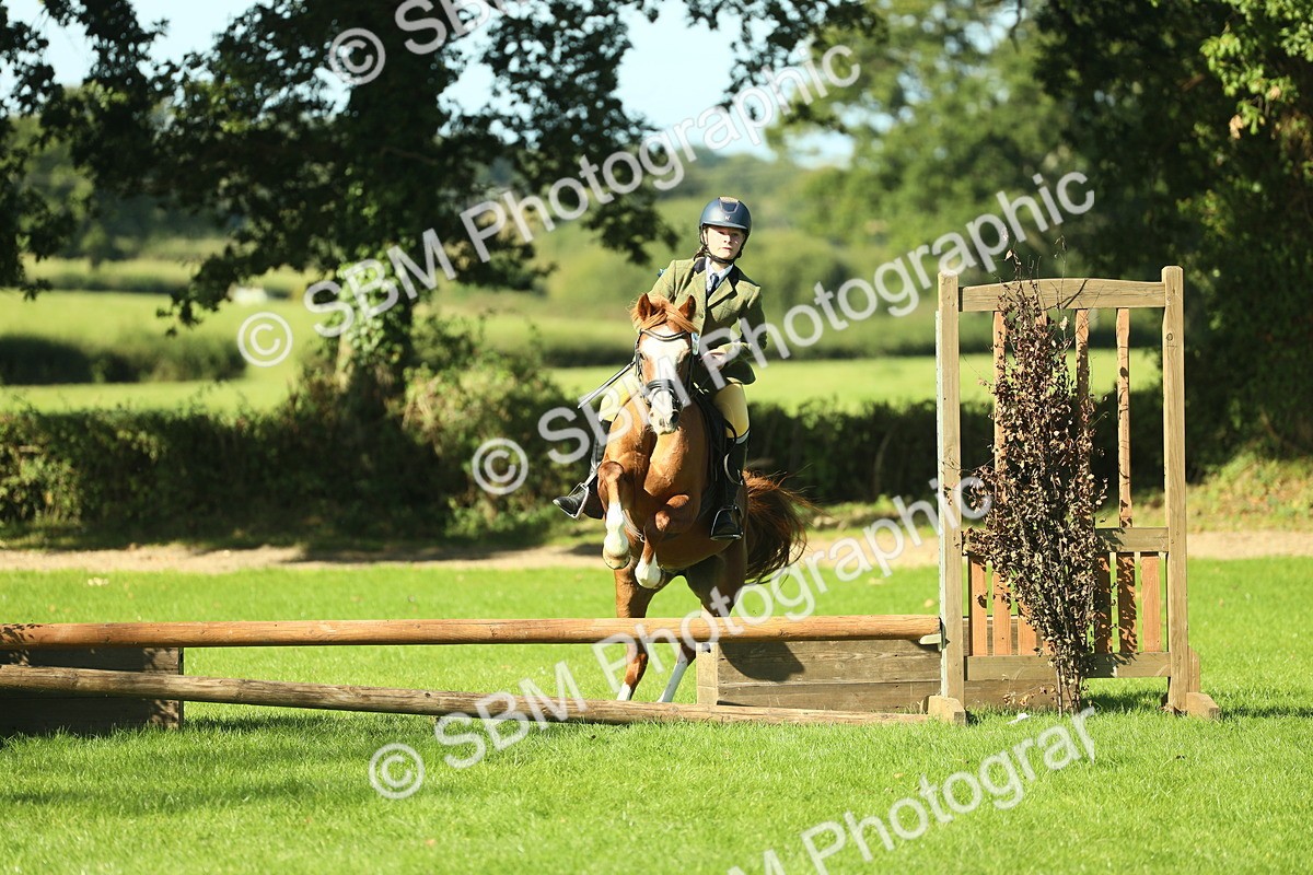 SBM_37442 - S29 - Novice & Newcomers Working Hunter Pony