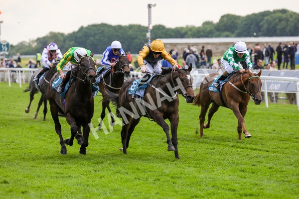 150524-Race 6-Shadow Army-1581 - Race 6 4.45pm British Stallion Studs EBF Novice Stakes