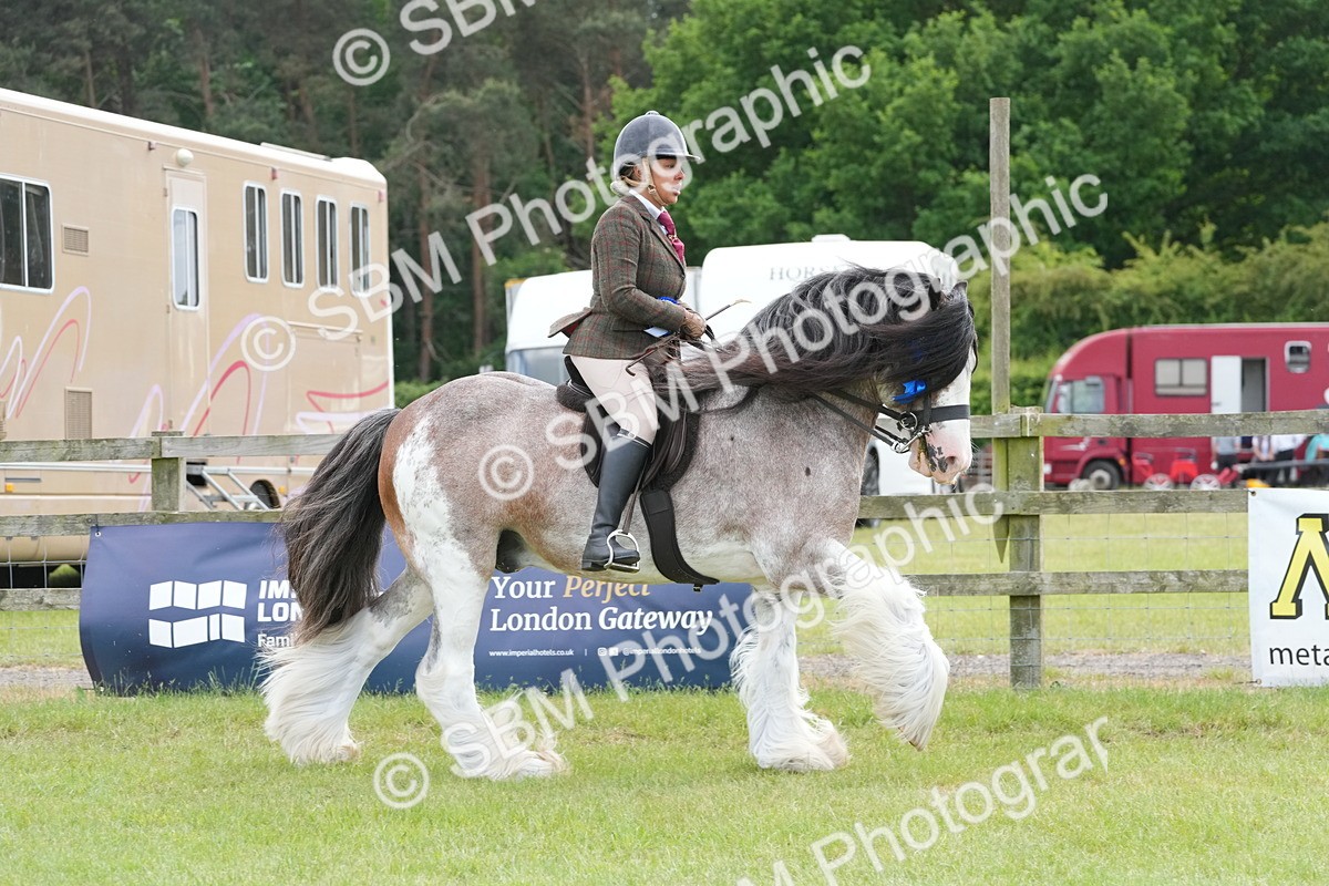 SBM_17699 - Class 107-108 - LIHS BSPS Performance Coloured Horse Pony