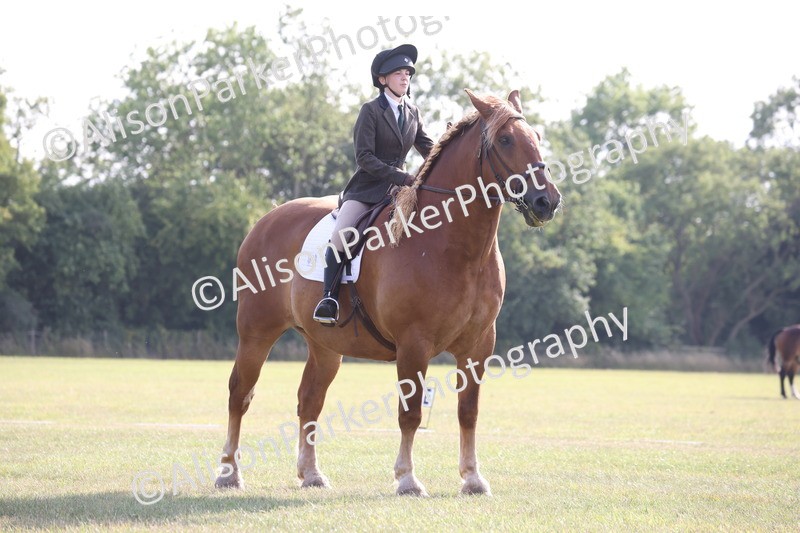 20250731-0574 - Class 1 - Intro 4