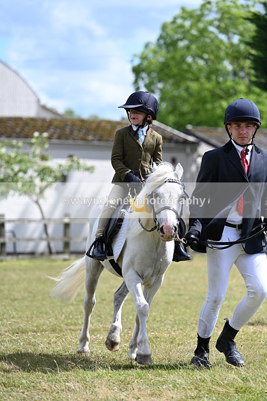 WJ7_0049 - Class 8 Ridden Veterans