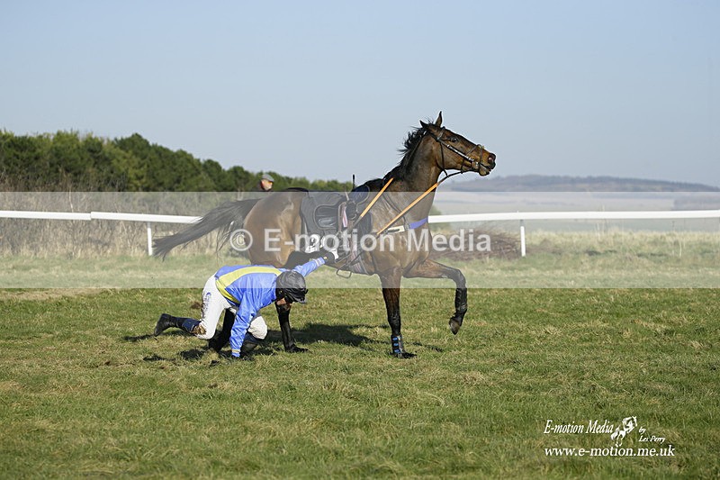 PtP 270222 382 - South & West Wilts Point-to-Point Larkhill 27/02/22
