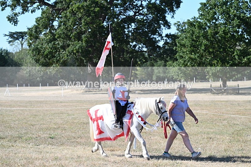 WJ7_2437 - Class 45 Fancy Dress (My Fav)