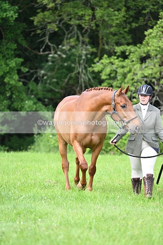 WJ7_0987 - Class 11 Condition & Turnout