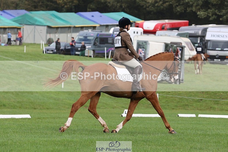 231019-105055-02457 - 607-RICO.III-Alison.Stewart-DR