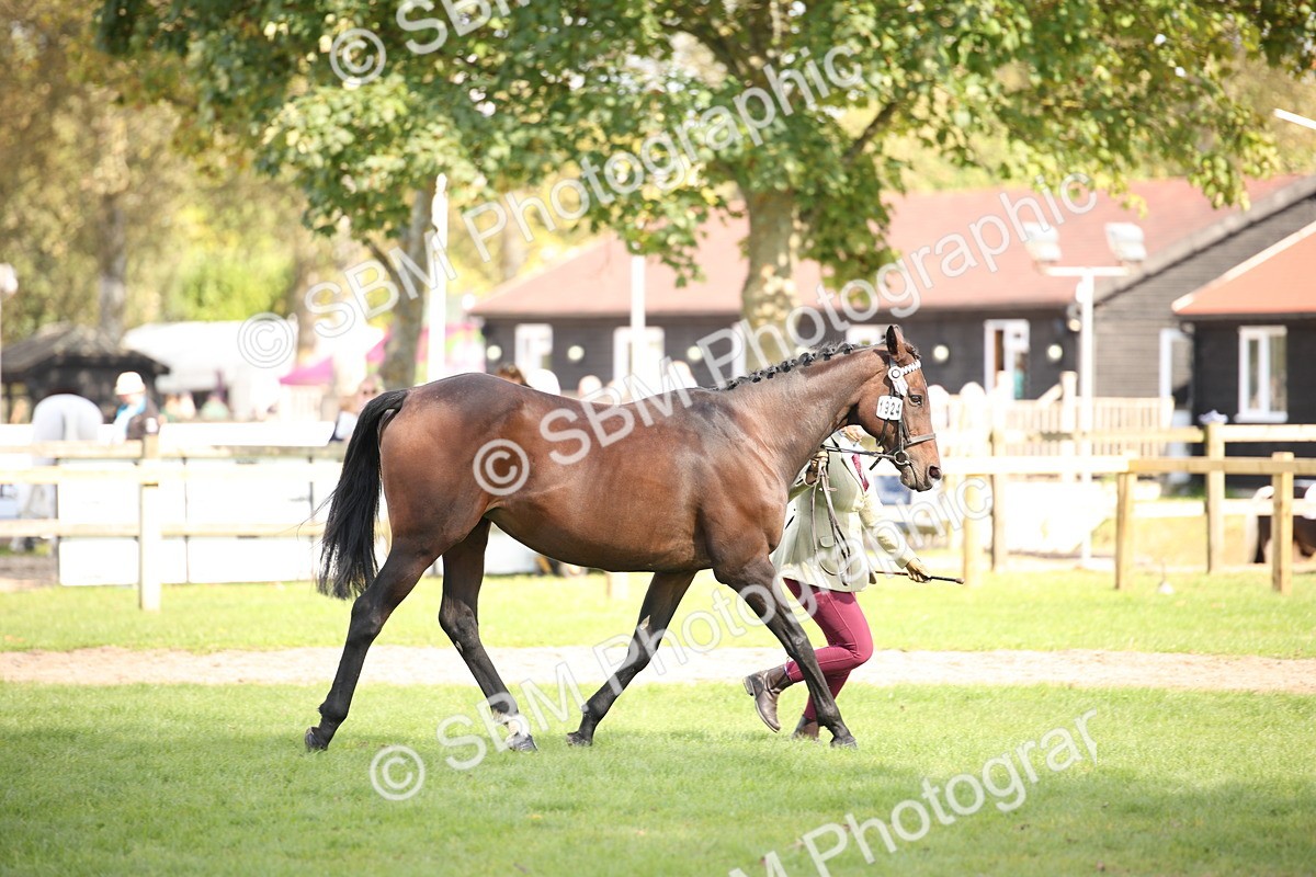 SBM_44428 - S24 - Young Veteran in hand