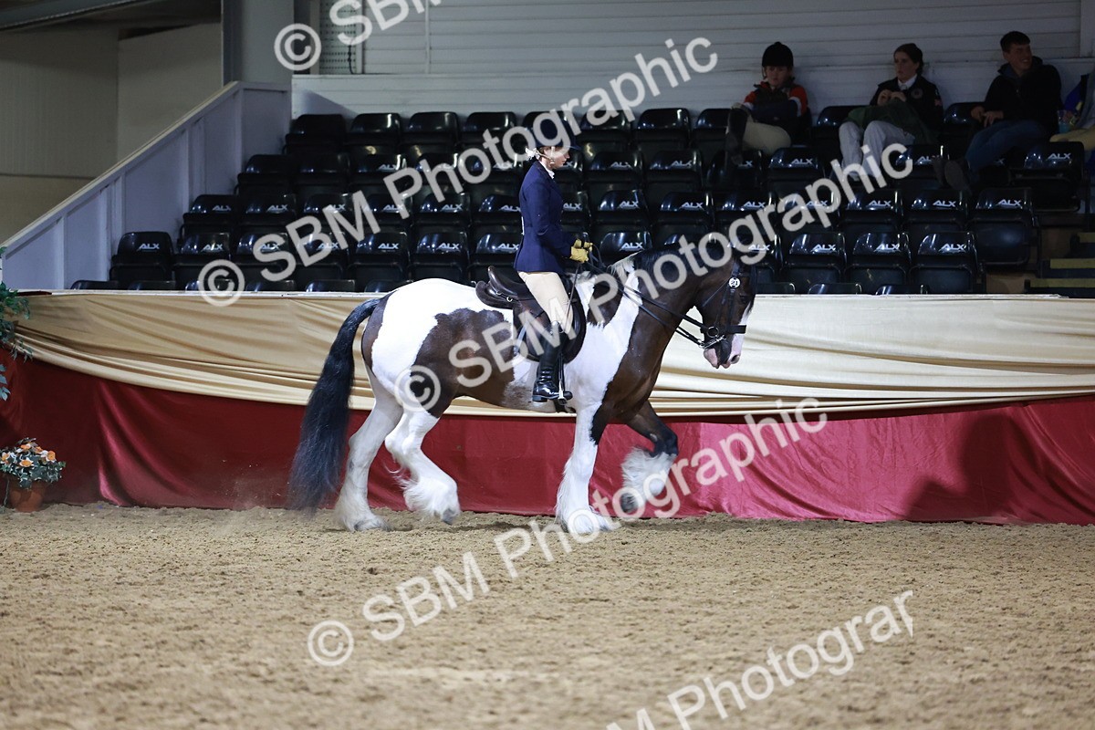 SBM_20268 - Class D - Grass Roots Champ