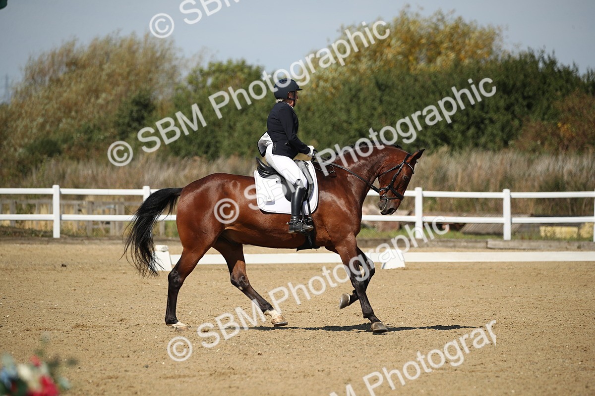 SBM_005003 - Class 11 - Novice 5 - 11.41-12.58