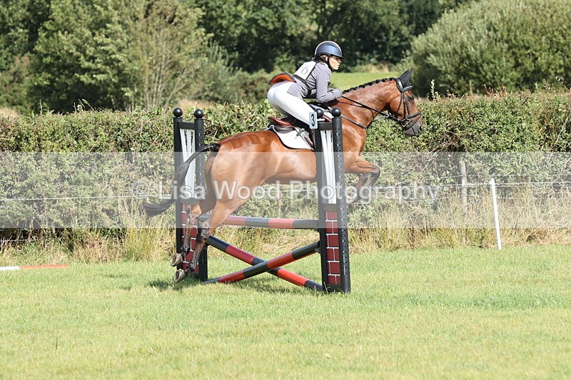 JPP_8741 - Class 2: Trekenning: 80cm Showjumping