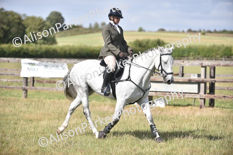 20260906-2702 - Class 13 - Working Hunter Horse or Pony