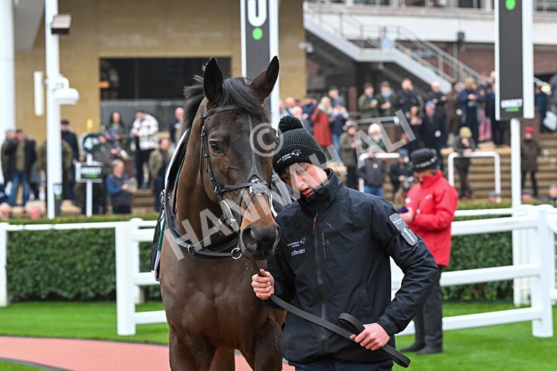 131224-Race 1-Country Mile-8437 - Race 1