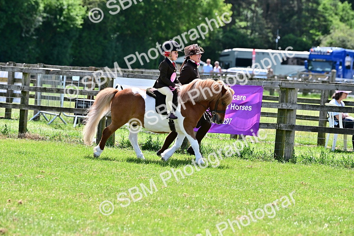 SBM_06004 - Class 59-60 - TSR M&M  Lear Rein and First Ridden Amateur of the year