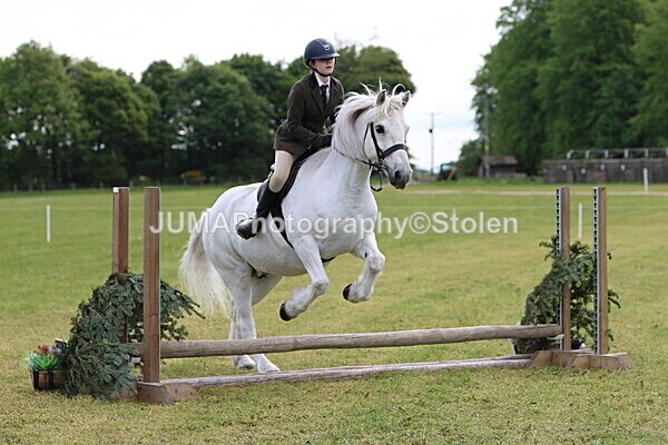 IMG_2493 - Working Hunter