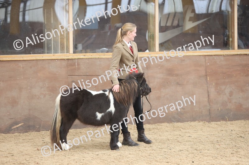 20251109-0431 - Championship