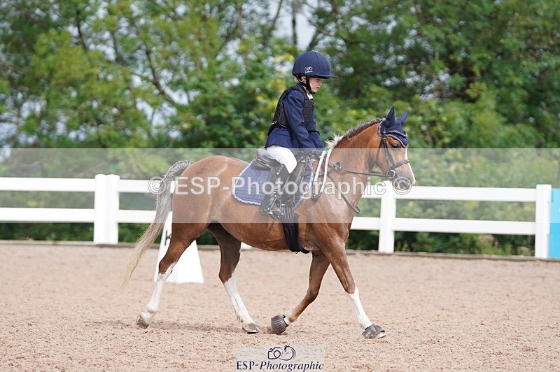 240809A-100606-00426 - Dressage Competition
