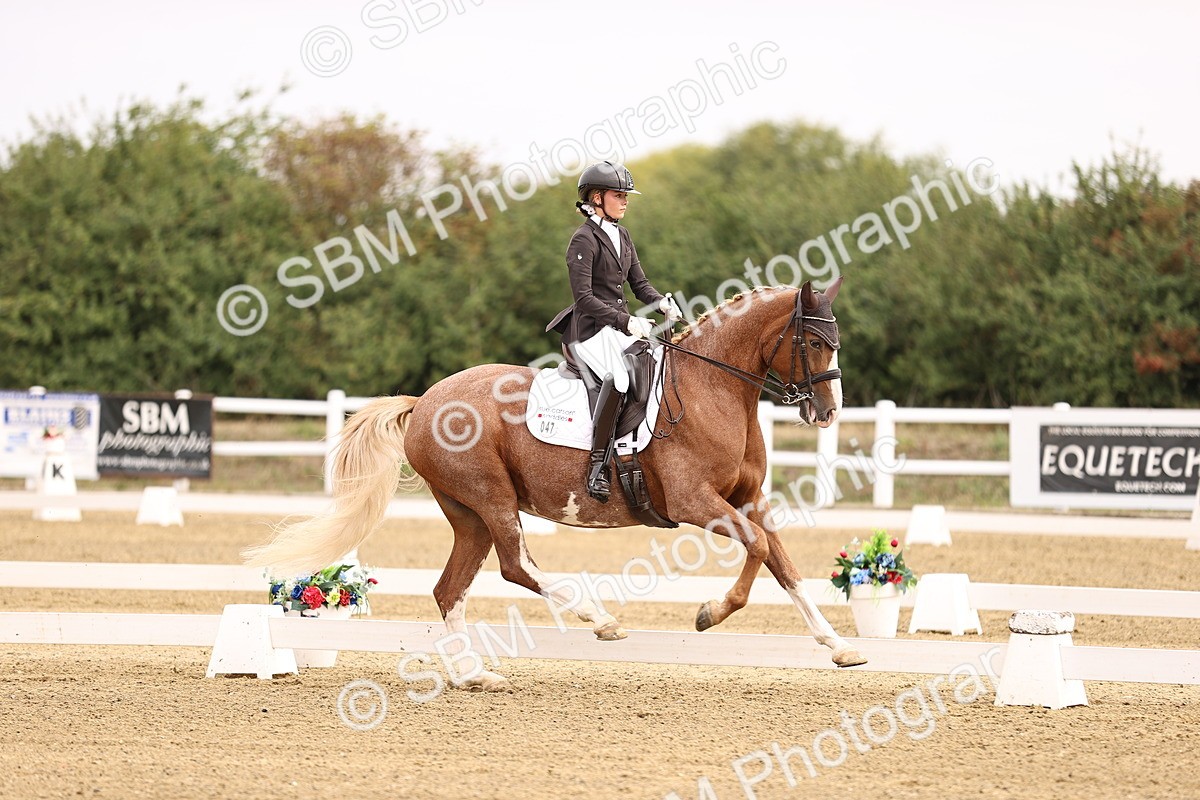 SBM_011536 - Class 1 - Medium 5